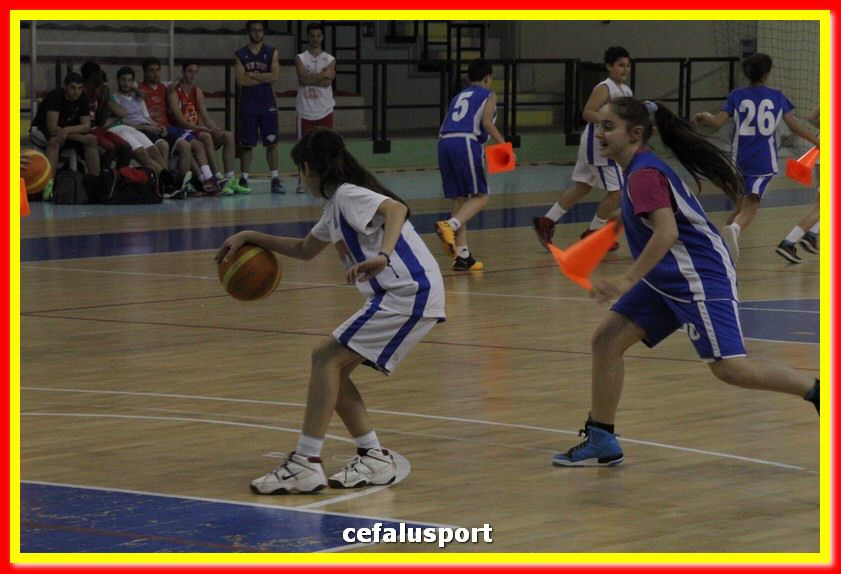 140505 basket 220_tn.jpg
